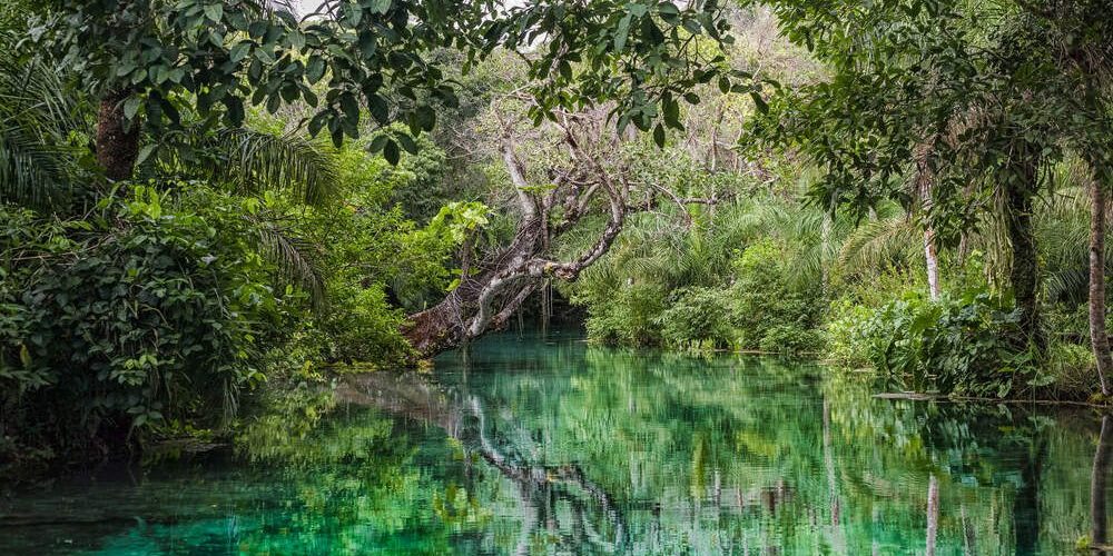 original-2fa39f24112f2e48b9c4eea0674dbc62-1000×508