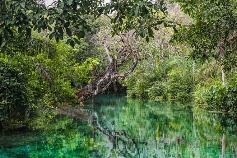 %name Resultado da Busca