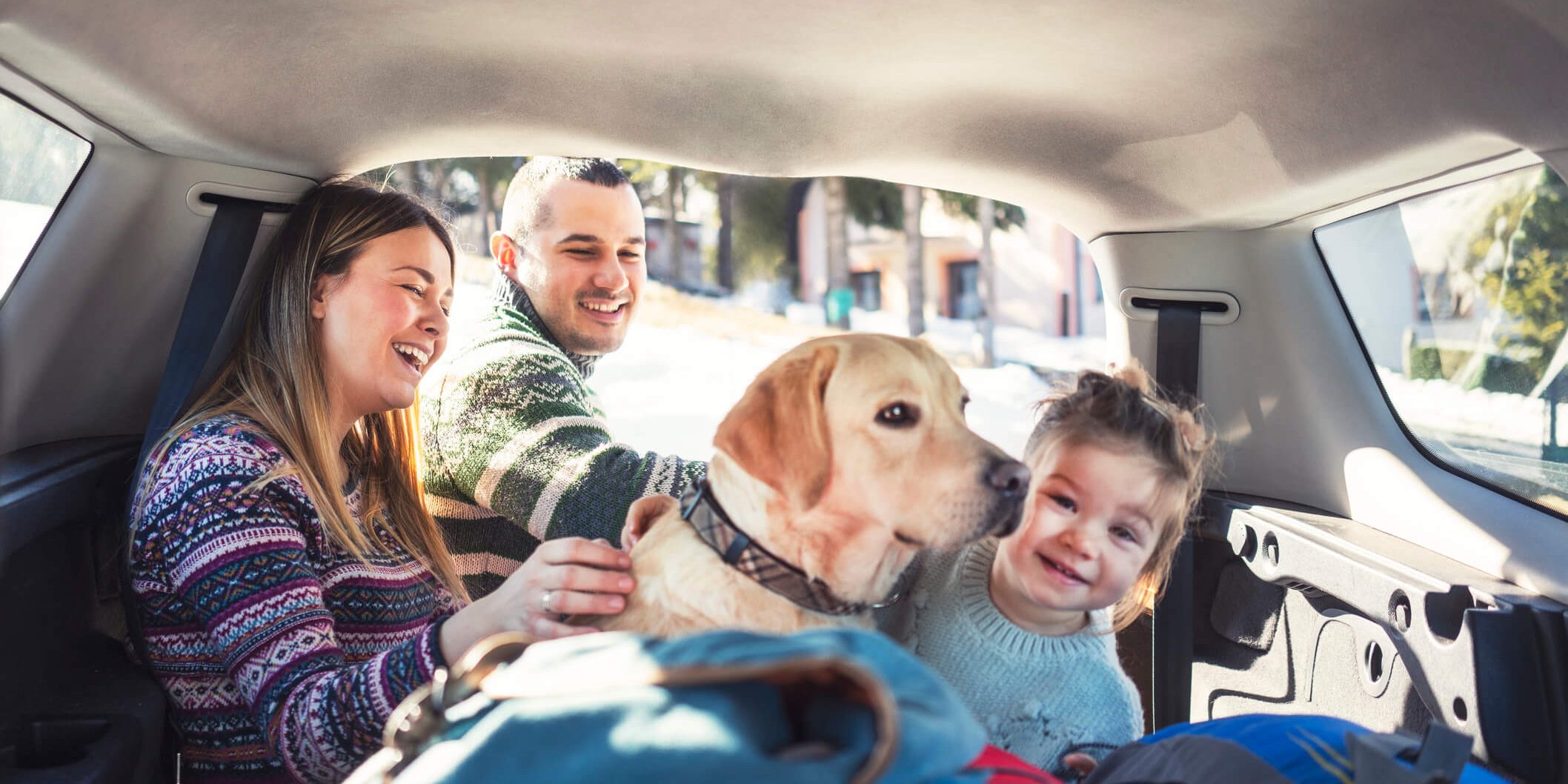 veja7dicasparaviajarcomocachorrodecarro viajar com cachorro de carro