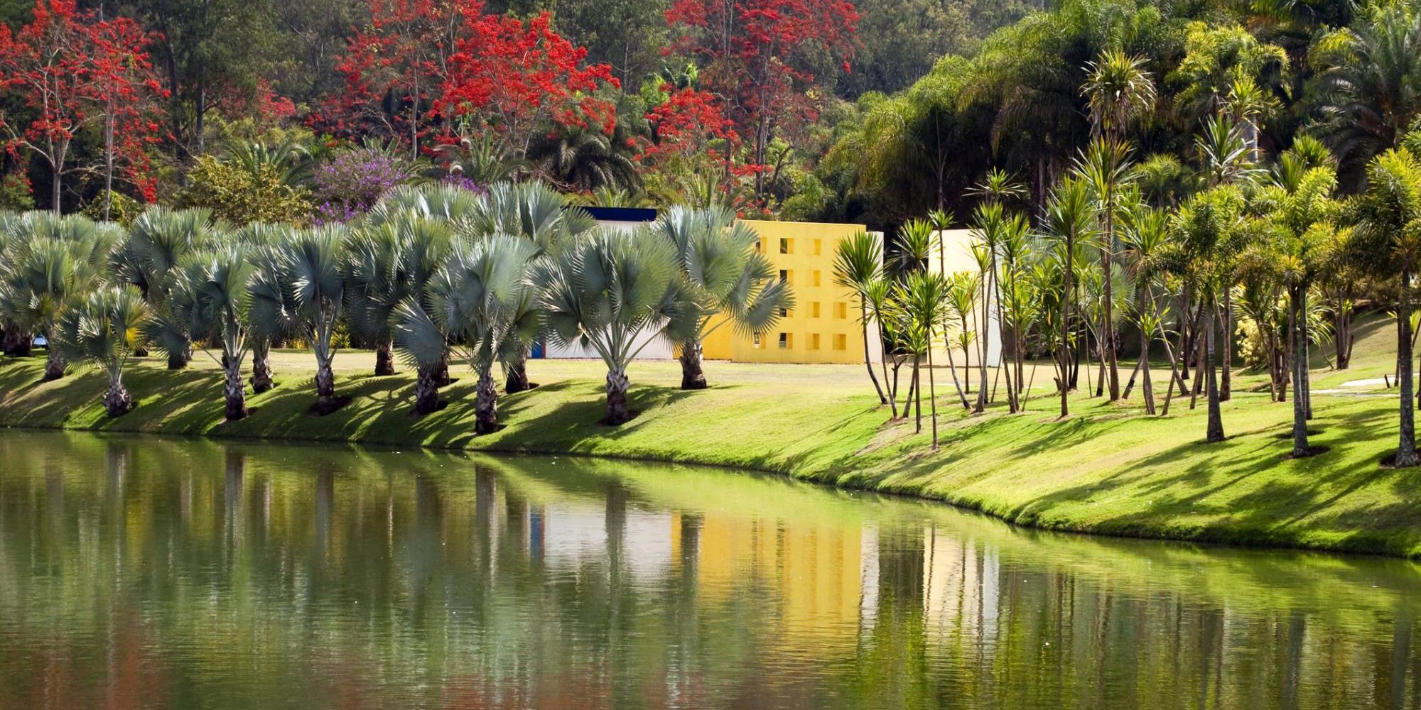 viagem cultural viagem cultural