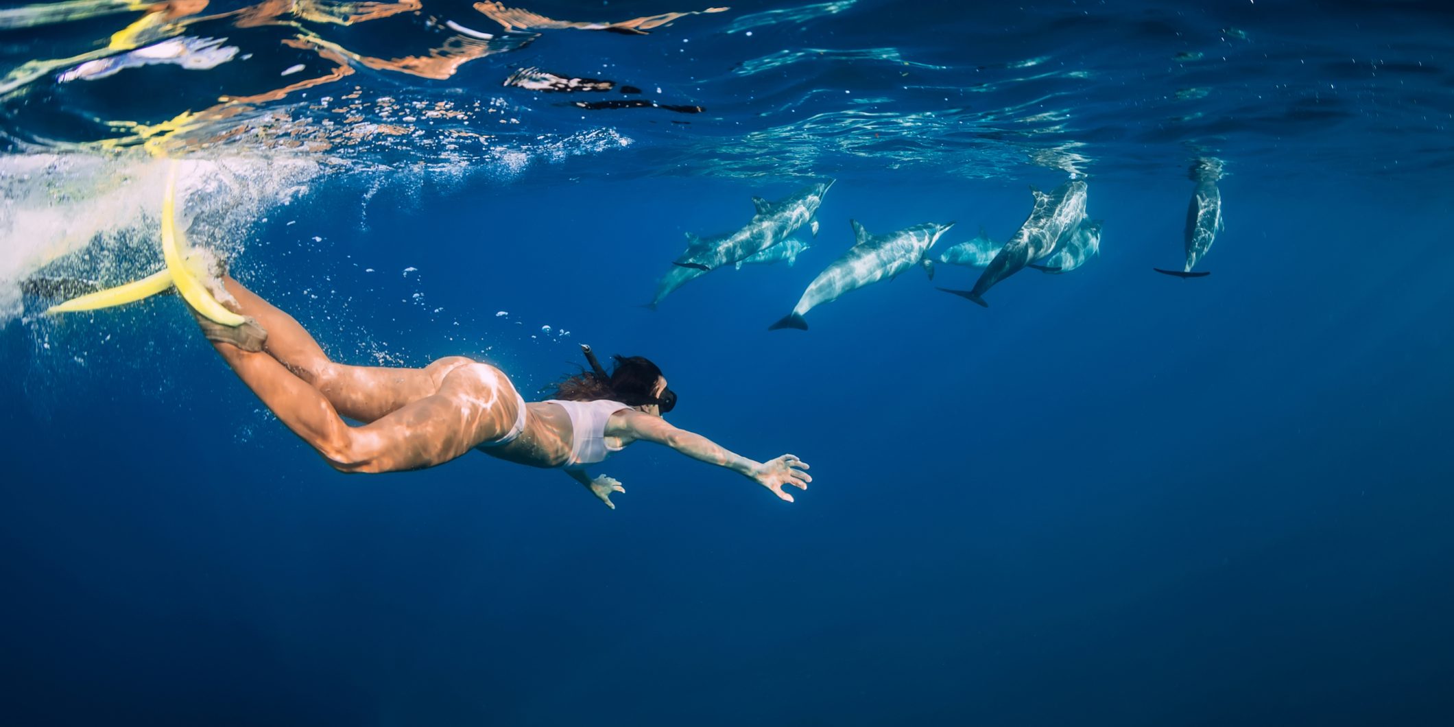 Os-pontos-turisticos-imperdiveis-em-Fernando-de-Noronha Mulher mergulhando no fundo do mar com golfinhos Os pontos turisticos imperdiveis em fernando de noronha