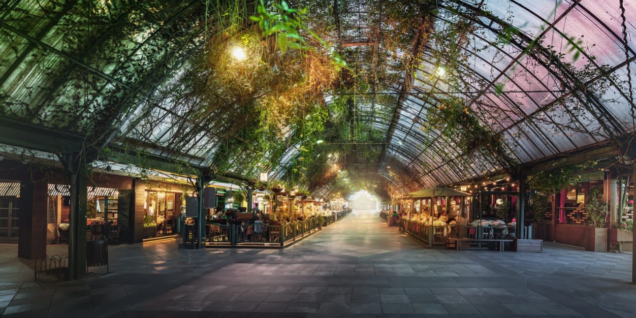 oquefazeremgramadonoinverno?