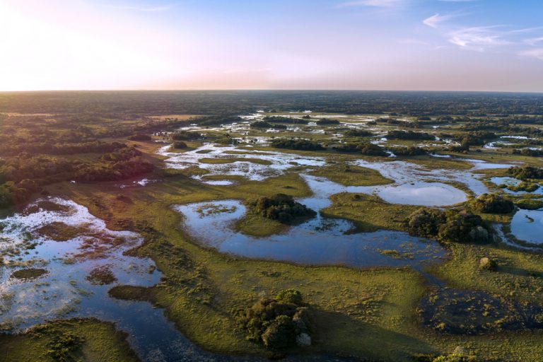 Pantanal photographed in Corumbá, Mato Grosso do Sul. Pantanal Biome, Brazil. %name 6 lugares que você deve conhecer em Foz do Iguaçu
