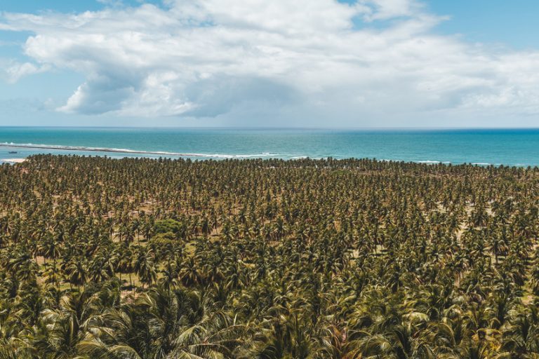 Guia de viagem Maceió – Praia do Gunga %name Modelo Categoria